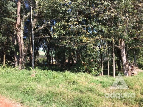 Foto Terreno