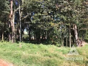 <strong>Terreno à venda 1716M², Centro, Carambeí - PR</strong>