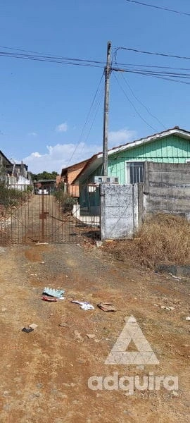 Foto Terreno
