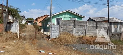 Foto Terreno