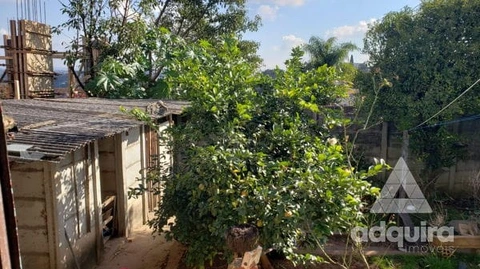 Foto Terreno