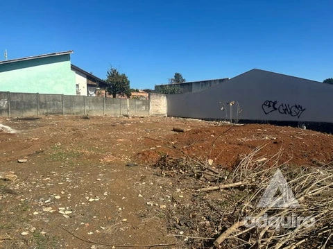 Foto Terreno