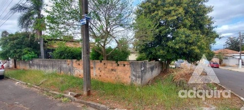 Foto Terreno