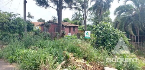Foto Terreno