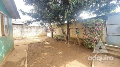 Foto Terreno