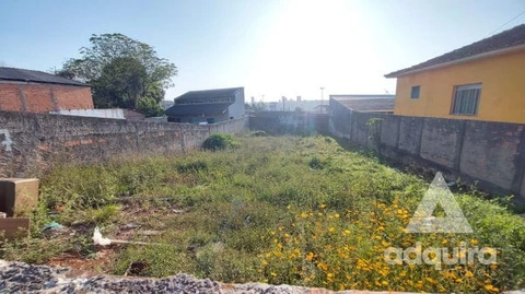 Foto Terreno
