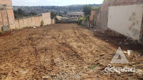 Foto Terreno