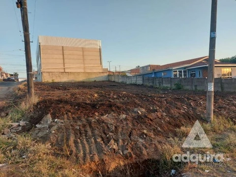 Foto Terreno