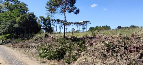 Foto Terreno