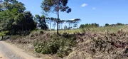 <strong>Terreno à venda 500M², Chapada, Ponta Grossa - PR</strong>