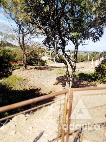Foto Terreno