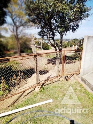 Foto Terreno