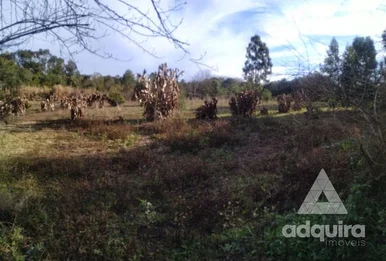 Terreno à Venda 4000m², Cará-cará, Ponta Grossa - Pr