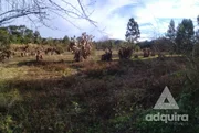 <strong>Terreno à venda 4000M², Cará-cará, Ponta Grossa - PR</strong>