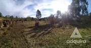 <strong>Terreno à venda 4000M², Cará-cará, Ponta Grossa - PR</strong>