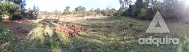 Terreno à Venda 4000m², Cará-cará, Ponta Grossa - Pr