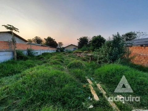 Foto Terreno
