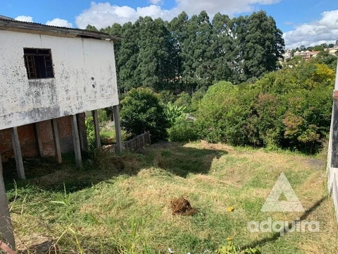 Foto Terreno