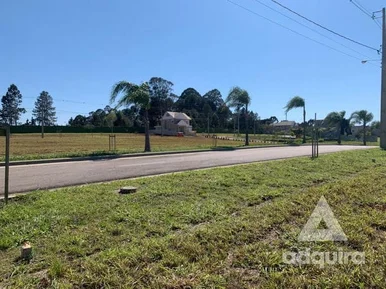 Terreno à Venda 302m², Jardim Carvalho, Ponta Grossa - Pr
