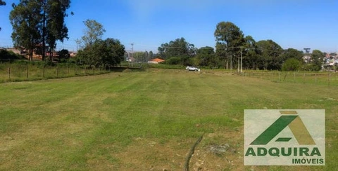 Foto Terreno