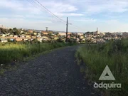<strong>Terreno à venda 394.54M², Chapada, Ponta Grossa - PR</strong>