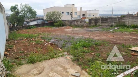 Foto Terreno