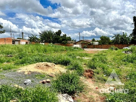 Foto Terreno