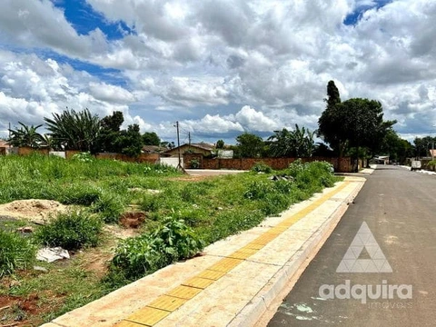 Foto Terreno
