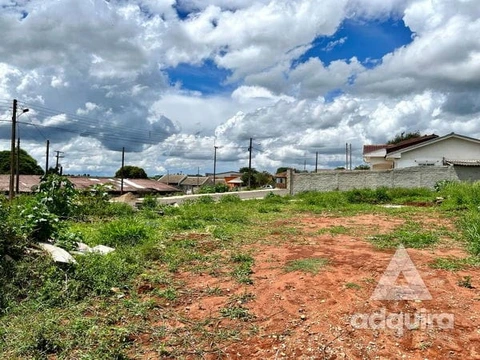 Foto Terreno