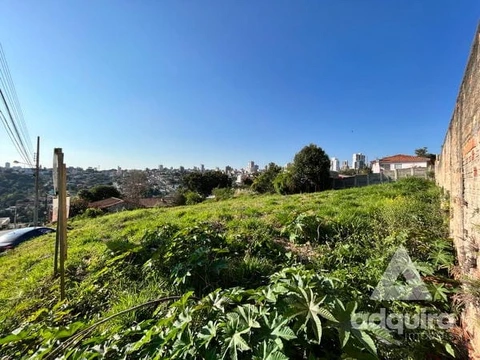 Foto Terreno
