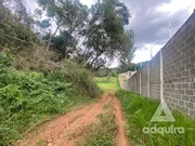 <strong>Terreno à venda 76345.22M², Colônia Dona Luíza, Ponta Grossa</strong>