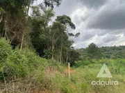 <strong>Terreno à venda 76345.22M², Colônia Dona Luíza, Ponta Grossa</strong>