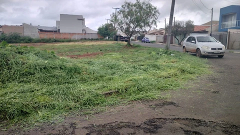 Foto Terreno