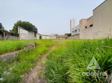 Terreno Para Locação 510m², Estrela, Ponta Grossa - Pr