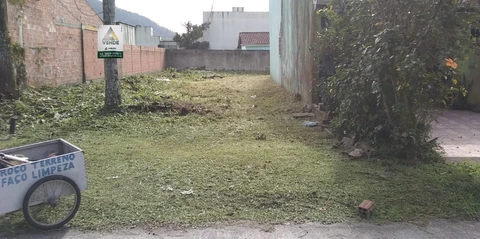 Foto Terreno