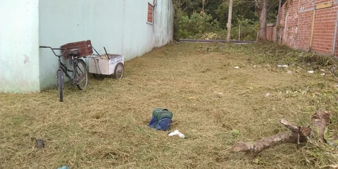Foto Terreno