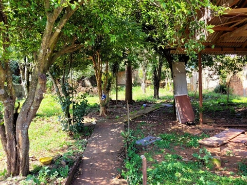 Foto Terreno
