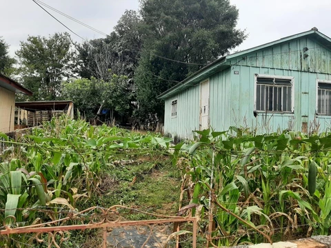 Foto Terreno