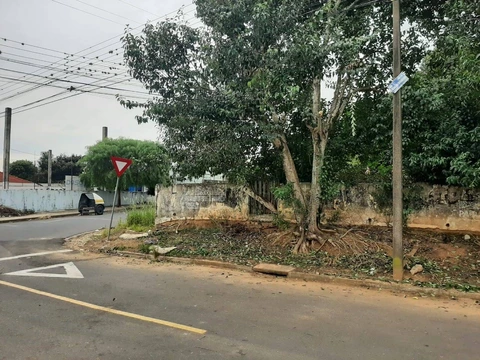 Foto Terreno