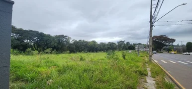 Terreno à Venda Próximo A Yara, Colônia Dona Luíza, Ponta Grossa