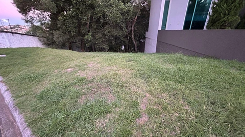 Foto Terreno