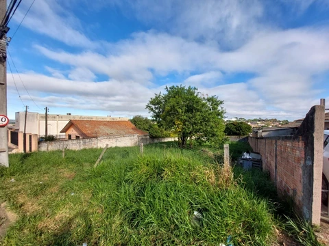 Foto Terreno