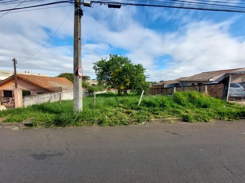 Foto Terreno