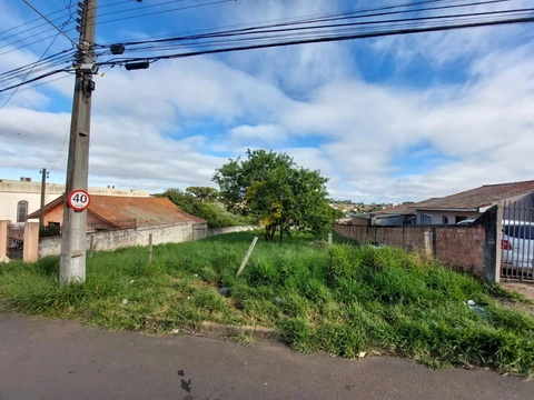 Foto Terreno