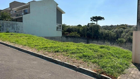 Foto Terreno