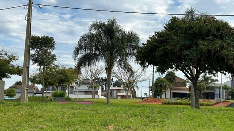 Foto Terreno