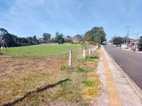 Foto Terreno