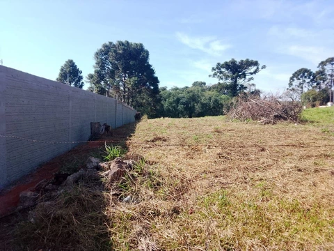 Foto Terreno