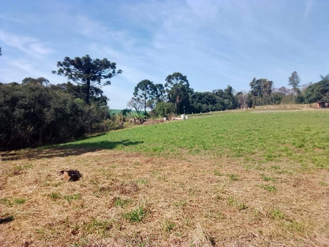 Foto Terreno