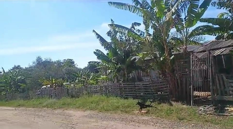 Foto Terreno